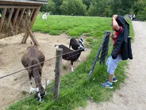 Haus- und Nutztierpark Arche Warder