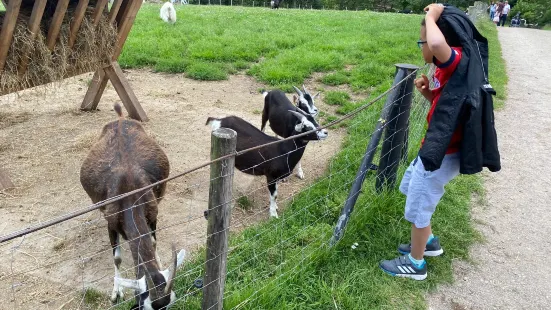 Arche Warder - Zentrum für seltene Nutztierrassen