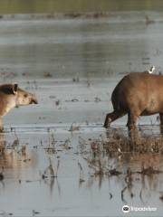 WildLife Paraguay