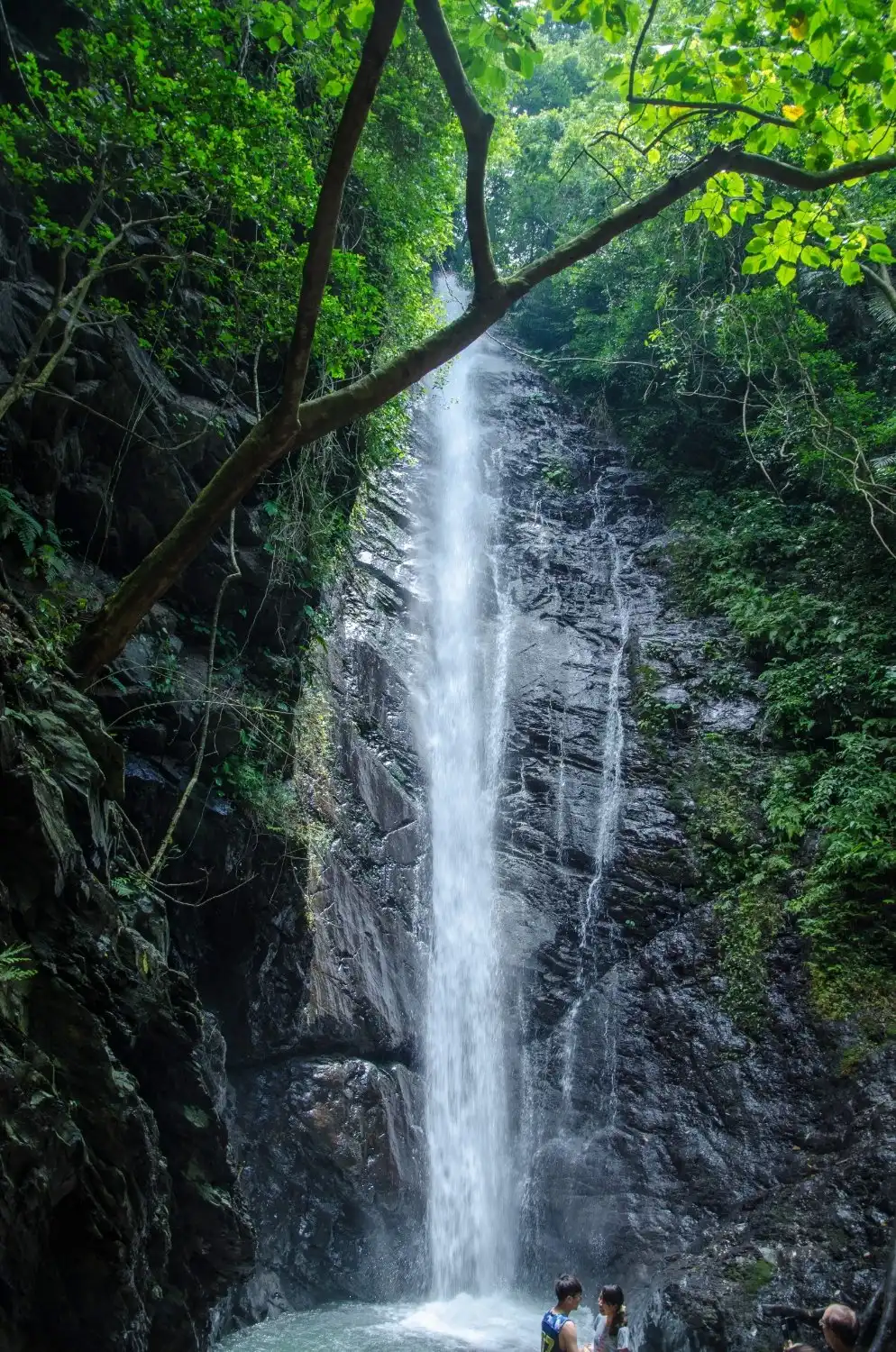Hotel in zona Dajin Waterfall