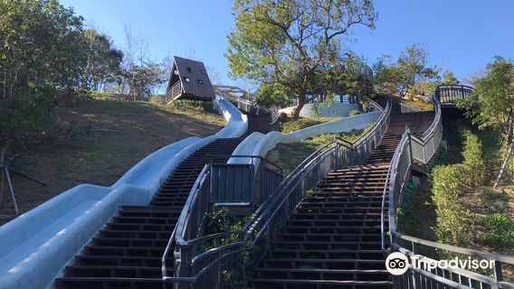 19 Hectares Grassland