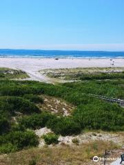 Wildwoods Beach Ball Sign