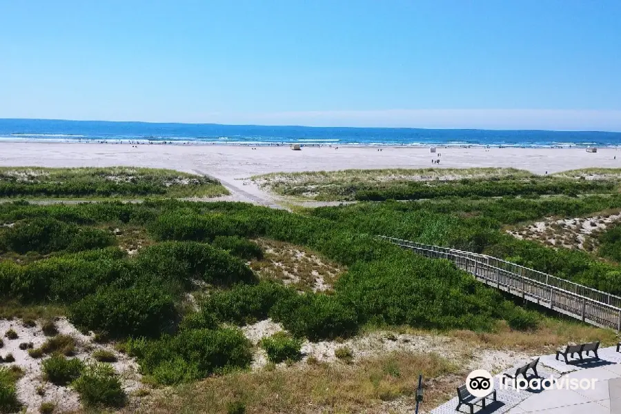 Wildwoods Beach Ball Sign