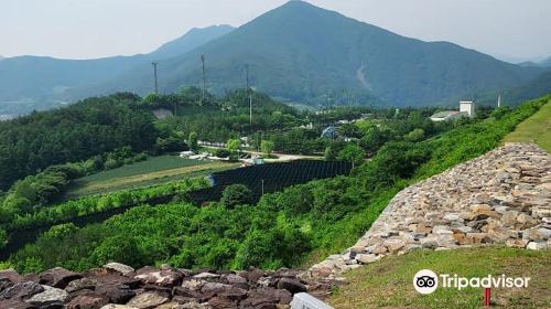 Danyang Jeokseong Fortress