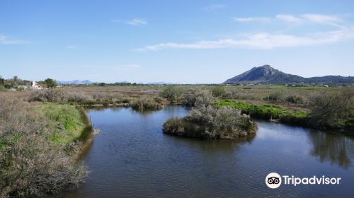 S'Albufereta Natural Reserve