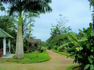 Jardin Botanico de Portoviejo