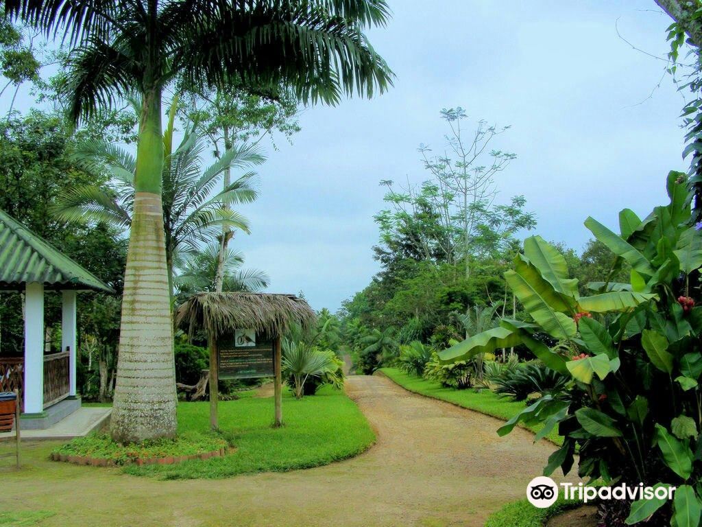 Jardin Botanico de Portoviejo