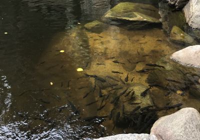 ナムトック ホゥアイヤーン国立公園