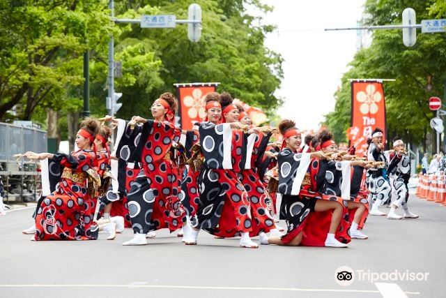 Yosakoi索朗祭 | 札幌