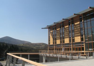 Tollymore National Outdoor Centre