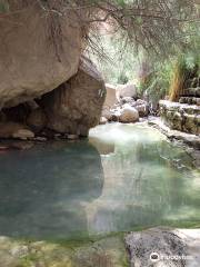 Nachal Arugot Nature Reserve