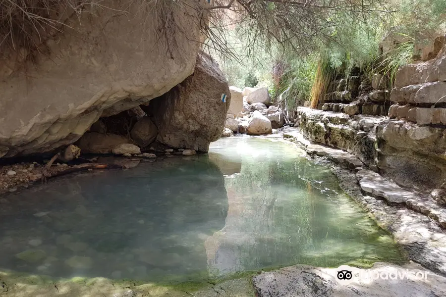 Nachal Arugot Nature Reserve