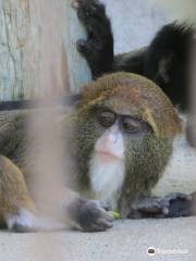 브램블 파크 동물원