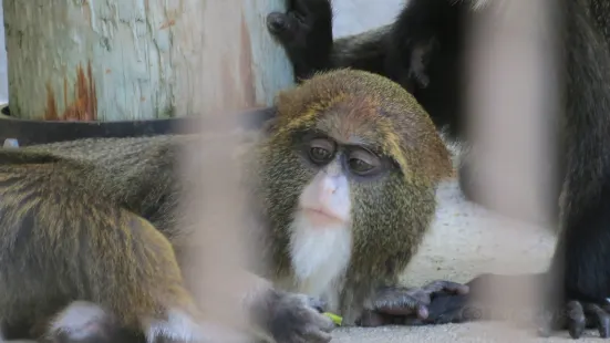 ブランブル・パーク動物園