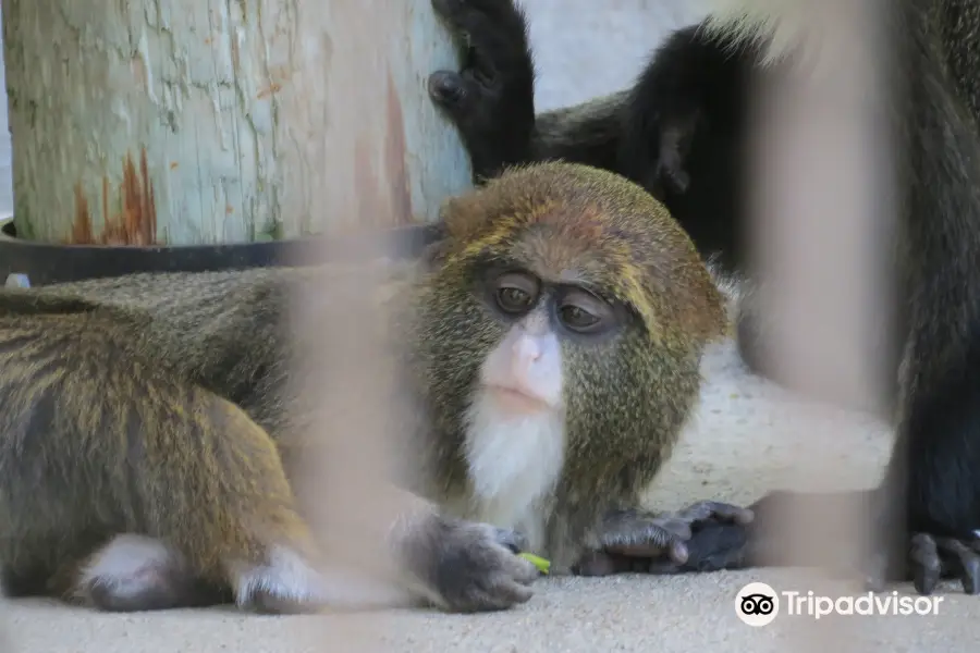 Bramble Park Zoo