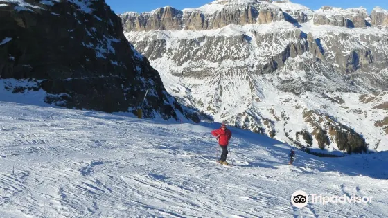 Ski and Snowboardschool Dolomites Reba