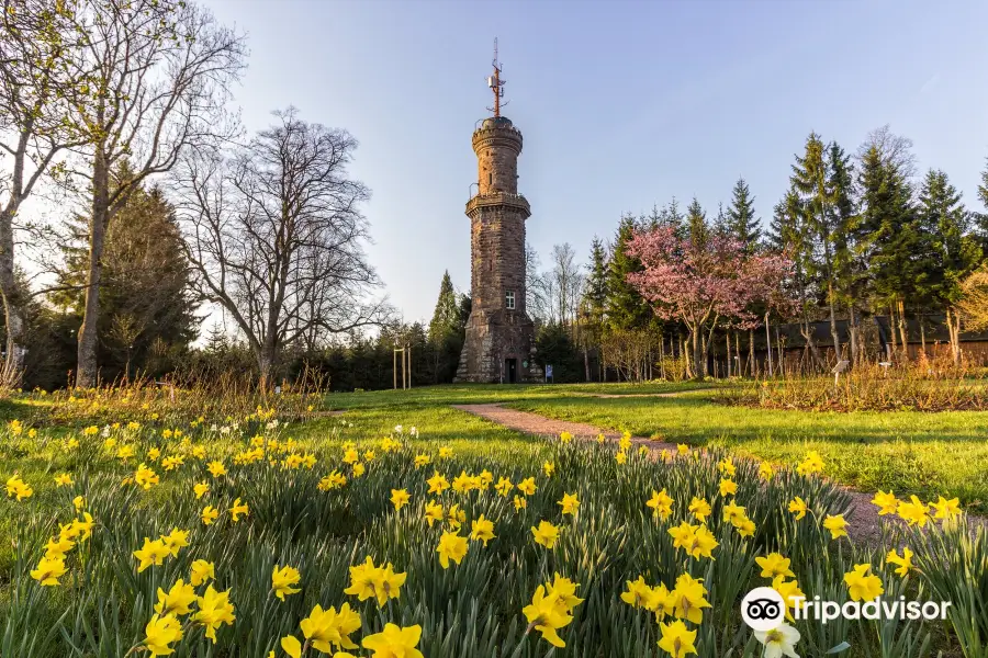 Friedrichsturm