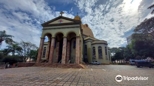 Cathedral of São Carlos