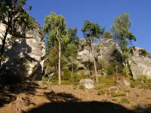 Prachov Cliffs