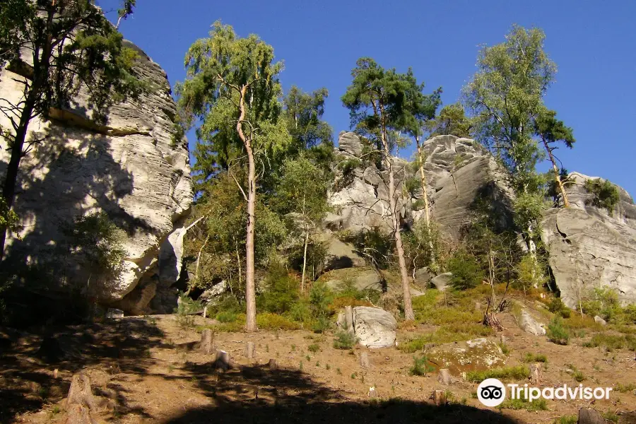 Prachov Cliffs