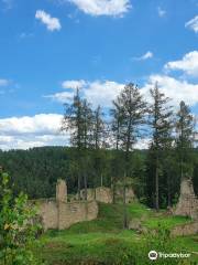 Ruins of Pořešín Castle