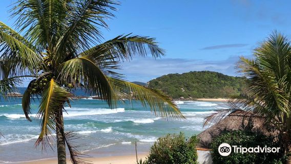 Praia De Quatro Ilhas