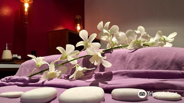 The Wellness Room PV