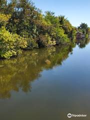 Berkeley Canal Manatee Observation Point