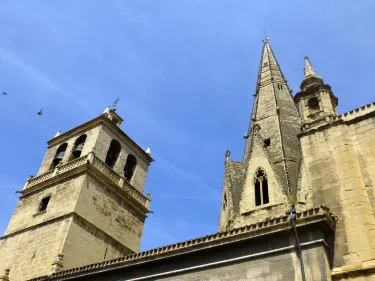Iglesia de Santa María de Palacio