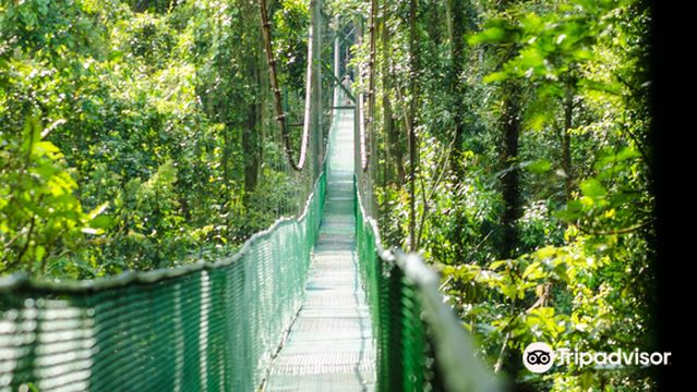 Tirimbina Biological Reserve