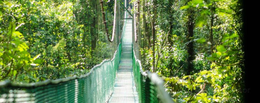 Tirimbina Biological Reserve