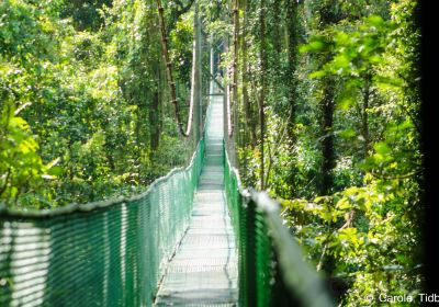 Tirimbina Biological Reserve