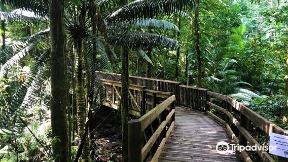 Jindalba Boardwalk