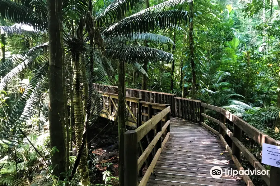 Jindalba Boardwalk