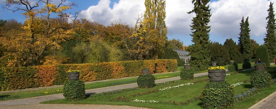 Botanical Garden and Botanical Museum