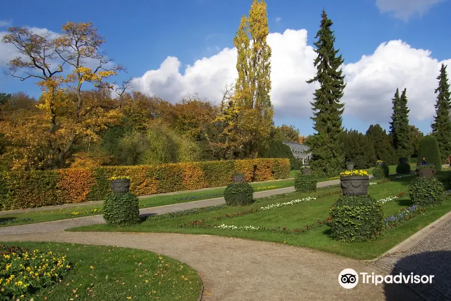 Botanical Garden and Botanical Museum