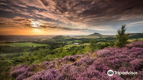 Roseberry Topping