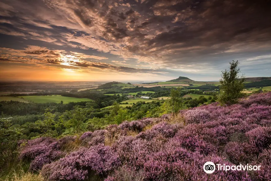 Roseberry Topping