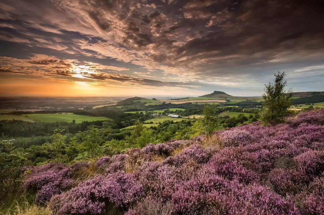 Hotel dekat Roseberry Topping