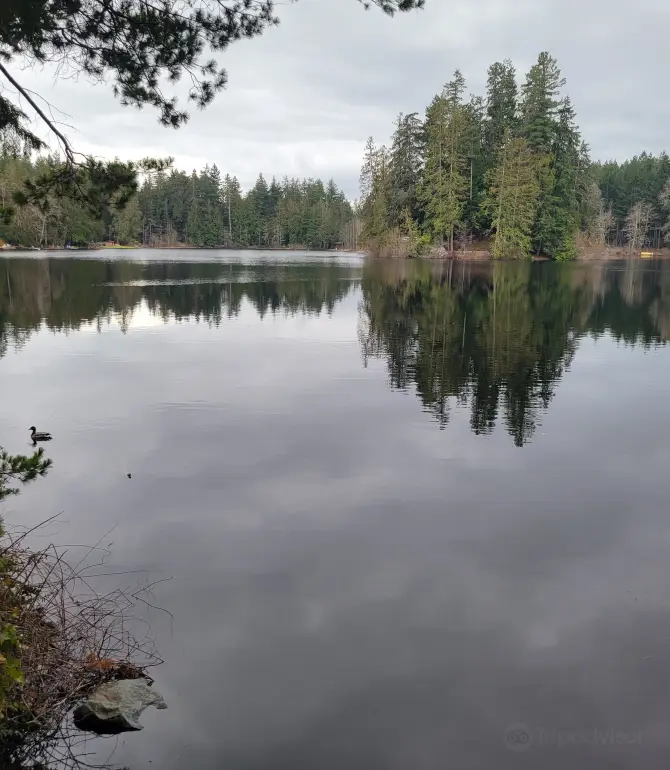 Silverdale