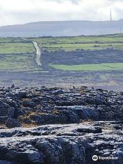 Heart of Burren Walks