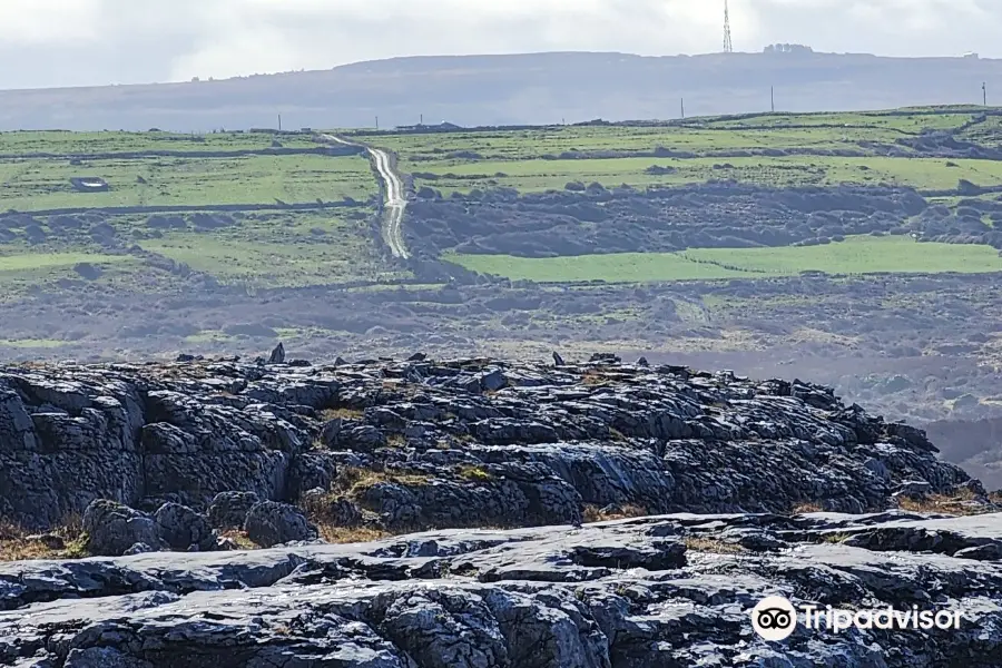 Heart of Burren Walks