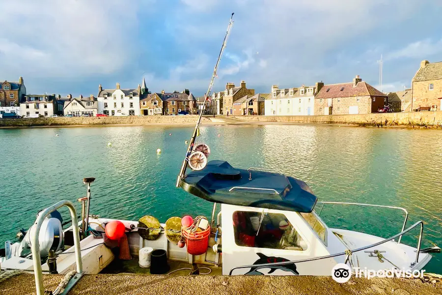 Stonehaven Harbour