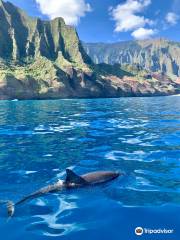 Na Pali Catamaran