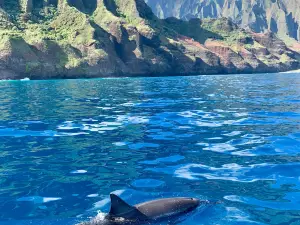 Na Pali Catamaran