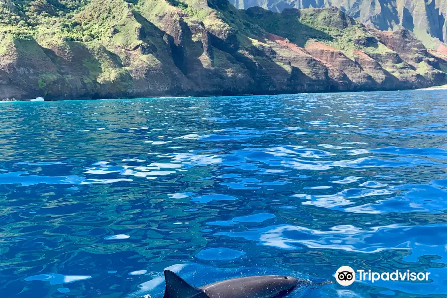 Na Pali Catamaran