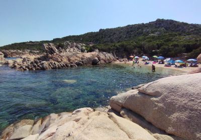 Spiaggia di Punta Molara