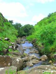 Idukki Wildlife Sanctuary