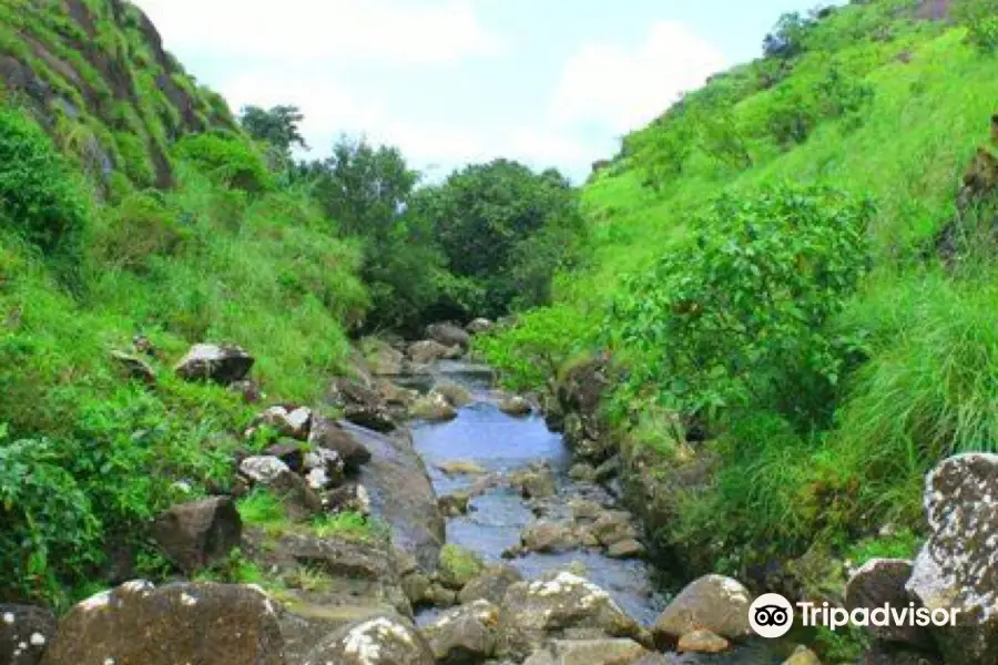 Idukki Wildlife Sanctuary