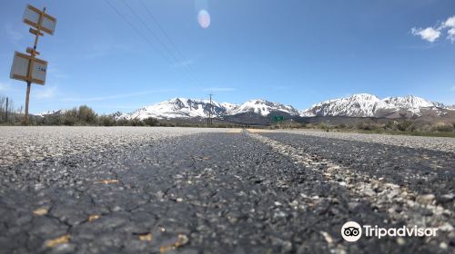 Inyo National Forest